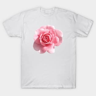 Pink Roses T-Shirt